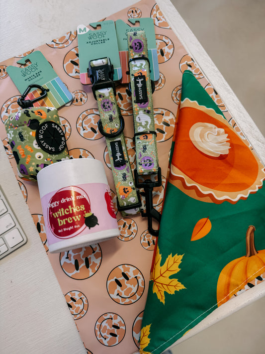Halloween Mystery Bag
