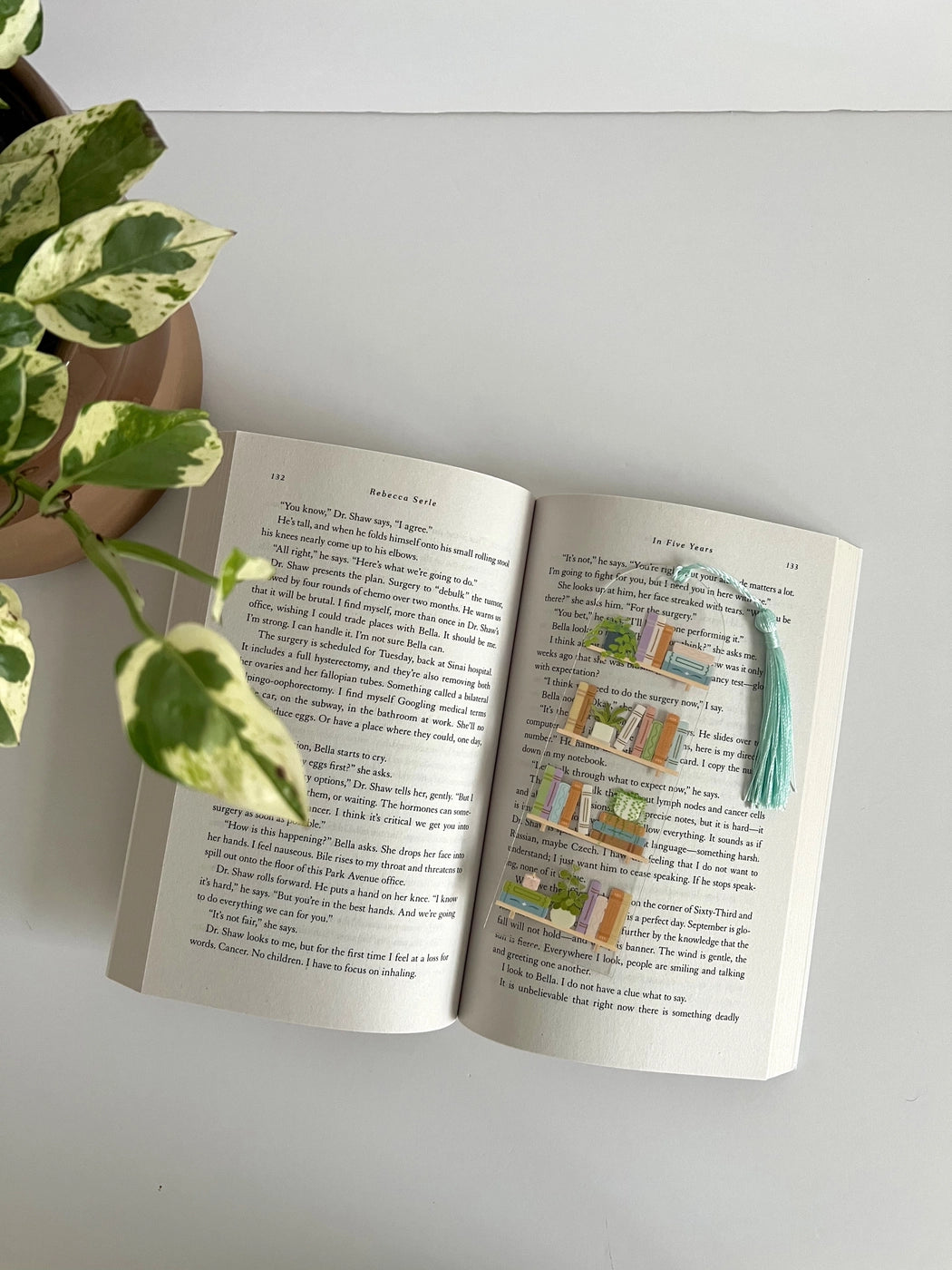 Bookshelf Acrylic Bookmark, Bookish Bookmark